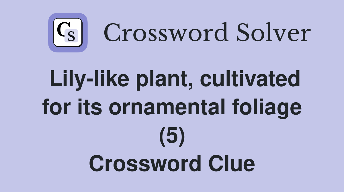 Lilylike plant, cultivated for its ornamental foliage (5) Crossword